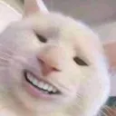 watdefuck watdefuck