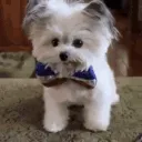 BR_varexa_omkay