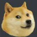 doge