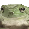 nofrog
