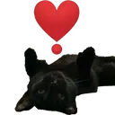 willowlove
