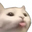 blep