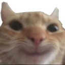 cat Discord emoji