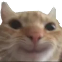 Cat cat Discord Emoji