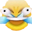 sikko
