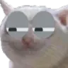 catsus