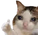 sadcatthumb