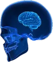 O_smallbrain