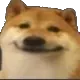 Bruhdoge Discord Emoji