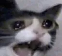 Pain