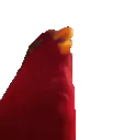 8677wuewuewue