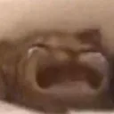 StolenEmoji