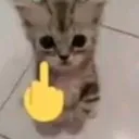 puto