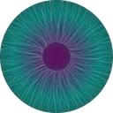 eye2