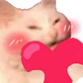 SG_GatoAmor SG_GatoAmor