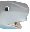 sharkpog