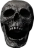 skull2_CS