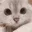cattonod