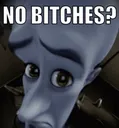 nobitches