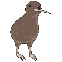 wc_kiwidance