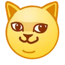 stare_cat