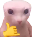 bingussy