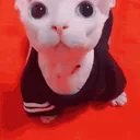 bingbingdrip