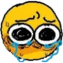 E_cry_2