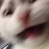 HELPME