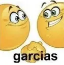 e_garcias