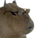capySmart