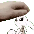 Ebi_patfast