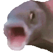 OOOO