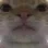 cate cate