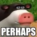 perhaps perhaps