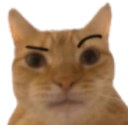 CanISeeYourBallsFrown