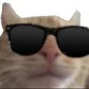 Catswag CatSwag Discord Emoji