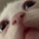 ye
