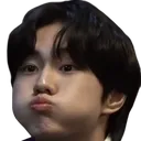Jungwon_Puff