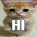 Hi