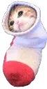 cattosocko