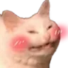 catblush