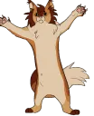 macchiDance