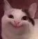happycat happycat