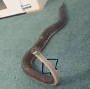 muonj