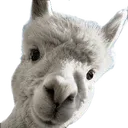 Llama