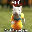 bl_dank_log