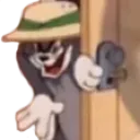 ST_tomdoor