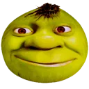 onionShreked