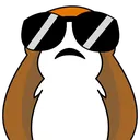 CoolestPorg
